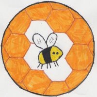 Tyla Glas Bees 🐝🐝(@TylaGlasBees) 's Twitter Profile Photo