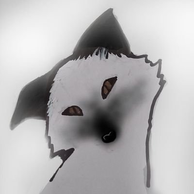 silverfox