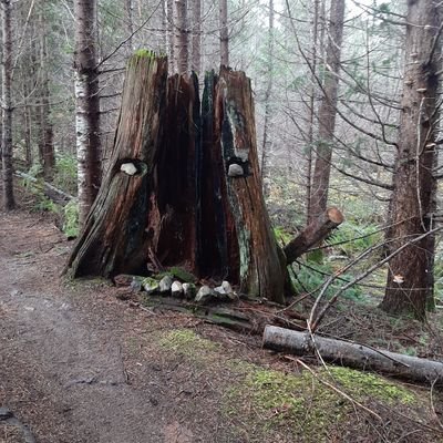 nonbinarybs's profile picture. 