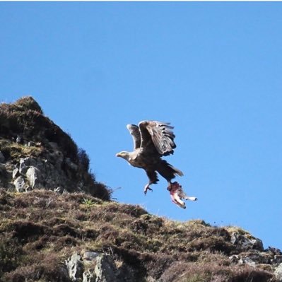 Speculation234's profile picture. Crofter