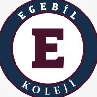 Ayşem Kaşıtoğlu (@aysemkasitoglu) 's Twitter Profile