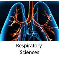 UoL Respiratory Sciences (@uolrespsci) 's Twitter Profile