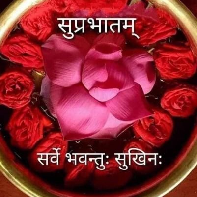 GhimireR's profile picture. Seeking good people around the world.