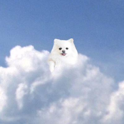pomepome_07's profile picture. アラサー限界風俗嬢/世界の美味しいもの全部食べ尽くすのが夢/🛁🍸 🍜💆♂️済/🚗³₃メイン
