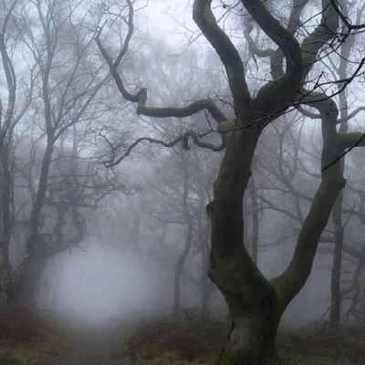 PhilomenaDane's profile picture. Life was Meant For You to Live.