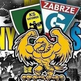 Kibic KSG🇷🇺🇵🇱 Sparta Zabrze 🇸🇲 Fan Bayern München 🇮🇩🇩🇪Hajduk Split🇭🇷   #ŻabskiTwitter #MiaSanMia #FCBayern👍🇺🇦