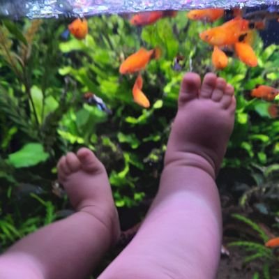 soodeh777's profile picture. nature lover