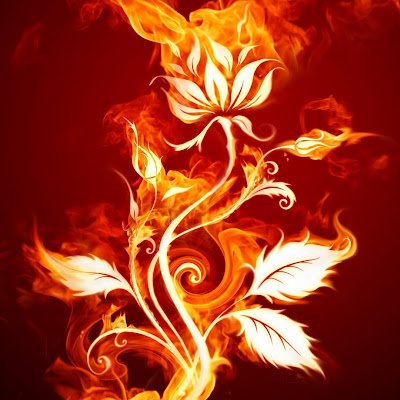 RooohRo's profile picture. 