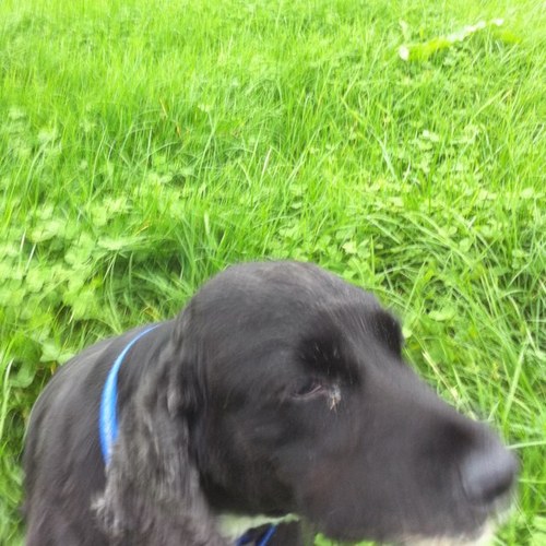 publicschoolboi's profile picture. 