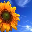 Jenny Sheppard - @SheppaJen - Twitter