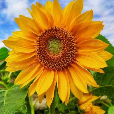 TweepleWe's profile picture. RTs are not endorsements.