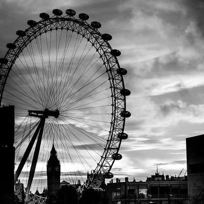 midnight______0's profile picture. 🌼🌊