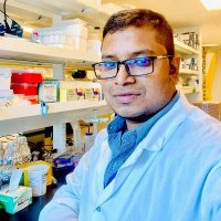 Dr. Numan (@ibnenuman) 's Twitter Profile