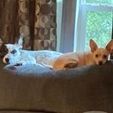 Phillip Wright Jr - @PhillipWrightJ - Twitter