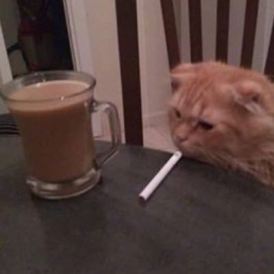 TimsahRolling's profile picture. Yobazlar ve Koyunlar asla ve asla giremez.