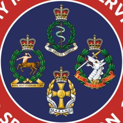 Channel of the Army Medical Services Sergeant Major. Senior soldier advocate for AMS people, sport and driven to improve the lived experience of soldiers.