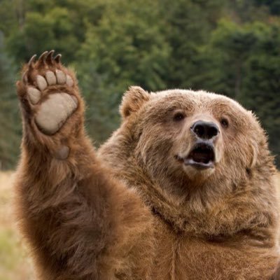 theotown's profile picture. True Patriot of the USA!