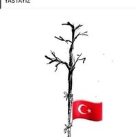 Cennet Sümbül (@cennetsumbul) 's Twitter Profile