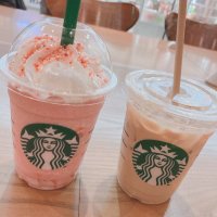 らと (@rato_raccoon) Twitter profile photo