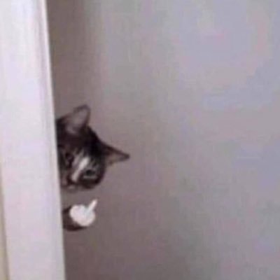 memefill's profile picture. Tagged as #reactmeme #lifememe #savagememe #funnymeme #moodmeme #logicmeme to search