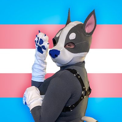 18+ ONLY | FtM Trans | He/him | Kinky Pup, Pony, & Tiger who designs petplay gear for @wildpetplay | 💙@cPony1💙