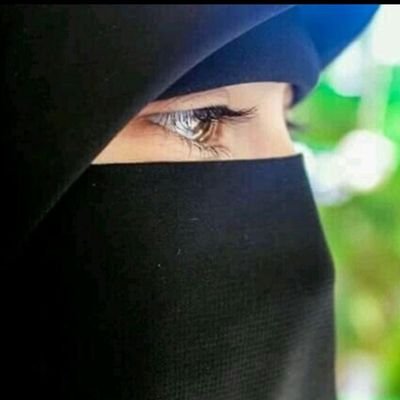 fabihakhan2324's profile picture. 