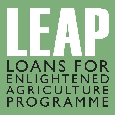 LEAProgramme Profile Picture