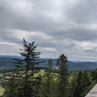 apek2111's profile picture. 