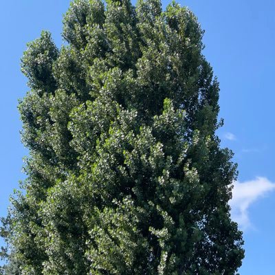 butt20227748's profile picture. 