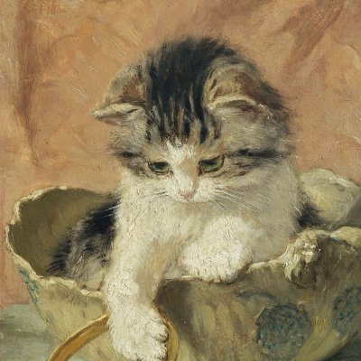 elena_catlady's profile picture. 