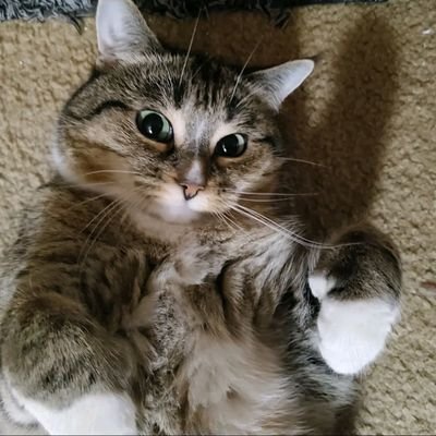 Kasey_Conway's profile picture. I barely use this so yeahhh