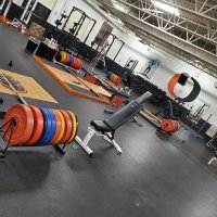 Beatrice Strength (@beatstrength) 's Twitter Profile