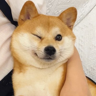 yfbk's profile picture. 深信德先生与赛先生