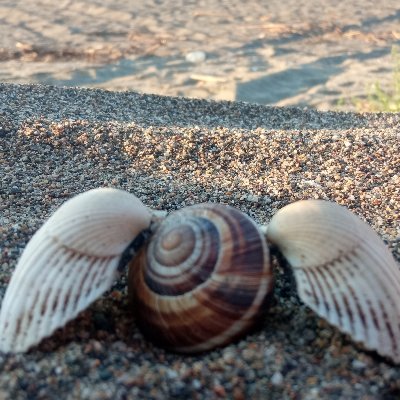 .
Ben kimim sorusuyla yaşarsın cevabıyla birlikte olursun
...