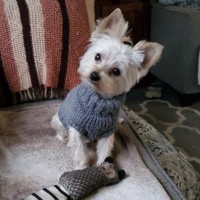 JonWinston15's profile picture. In to music and naturism