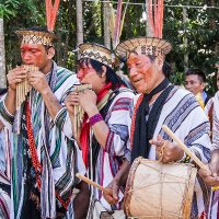 Ashaninka Apiwtxa (@apiwtxa) 's Twitter Profile