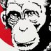 Cryptoaspect7 (@cryptoaspect7) Twitter profile photo Cryptoaspect7 (@cryptoaspect7) Twitter profile photo