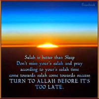 Ruhisadaf Sayed (@ruhisadafsayed) 's Twitter Profile