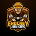 eHockey Junkies (@eHockeyJunkies) Twitter profile photo