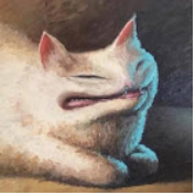 nanu_nas's profile picture. 