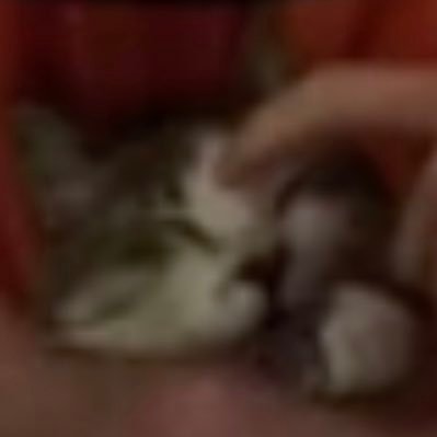 a6dandtechnofan's profile picture. :D