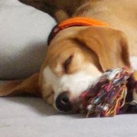 Remigiusz Pusch (@peremigiusz) 's Twitter Profile Photo