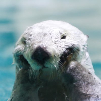 恙恙さんのプロフィール画像