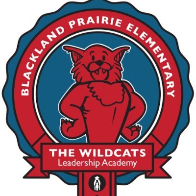 BPEWildcats Profile Picture
