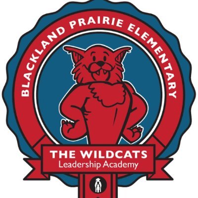 BPEWildcats's profile picture. 