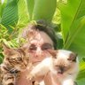 KlatuBaradaNiko's profile picture. #nature & 🗺️ 𝓒ultural tweets ❈•༻ 
#aiArt #cats                  
A ship in harbor is safe
but that is not what ships are built for ⛵

#WeAreAllOneHumanRace 🖖
