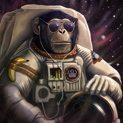 A monkey in the space