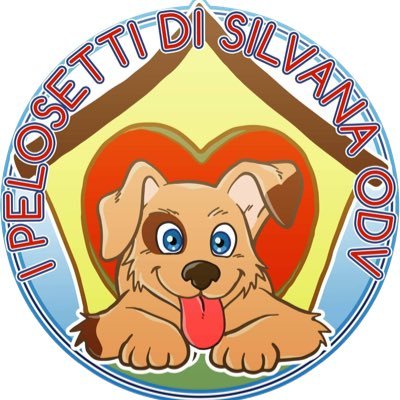 Organizzazione Di Volontariato 🐾🐕🐈 Adozione di cani e gatti in Italia e all’estero 🚗🌍🏠