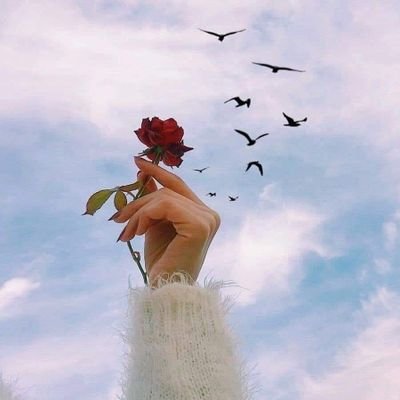 Benzerrouk_hind's profile picture. 🇩🇿 ❤ 🇵🇸