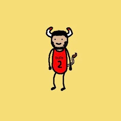 Bulls Fan